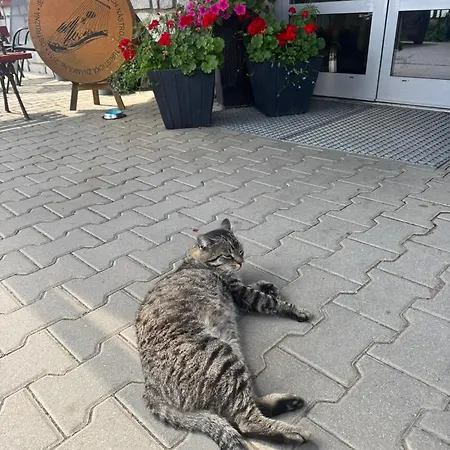 Horsky Skiland 3* Ostružná